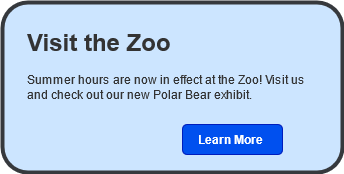 Sample promo component - Visit the Zoo